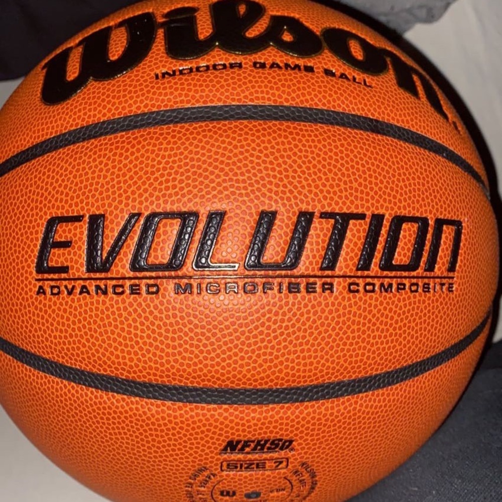 Wilson evolution basketball (28.5)